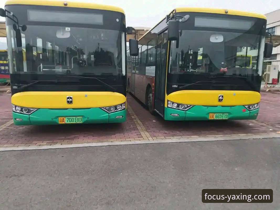 亚星娱乐平台如何通过最新亚星客车图片诠释“品质源于专注”？