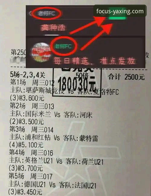 奥地利5-1大胜加纳友谊赛深度解析：从战术执行到团队协作的全面观察