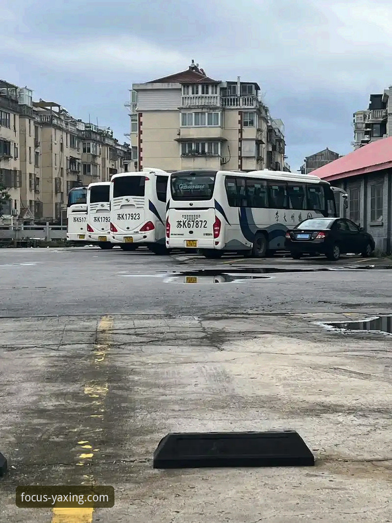 亚星娱乐平台 vs. 扬州亚星客车官网：哪个才是获取专业信息的正确入口？